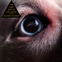 Виниловая пластинка Roger Waters / Dark side of the moon redux (orange, gatefold) (2LP)