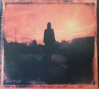 Компакт-диск Steven Wilson / Grace For Drowning (Digipack) (2CD)