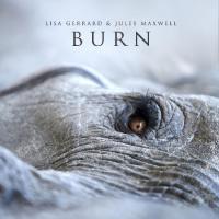 Виниловая пластинка Lisa Gerrard And Jules Maxwell / Burn (White) (LP)