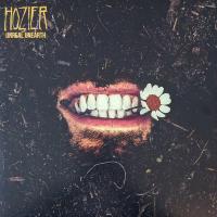 Виниловая пластинка Hozier / Unreal Unearth (Black VInyl) (2LP)