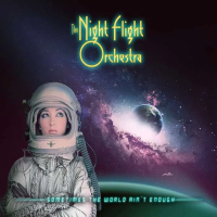 Виниловая пластинка Night Flight Orchestra / Sometimes The World Ain'T Enough (2LP)