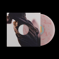 Виниловая пластинка Pixies / The Night the Zombies Came (coloured) (1LP)