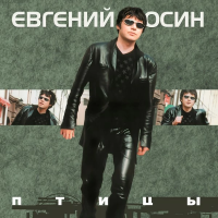 Виниловая пластинка Евгений Осин / Птицы (lp) Виниловая пластинка Евгений Осин / Птицы (lp)