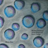 Виниловая пластинка Golding and Edwards and Noble / Moon Day (Limited) (1LP)