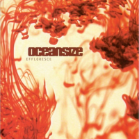 Виниловая пластинка Oceansize / Effloresce (Yellow Red Swirl)  (2LP)