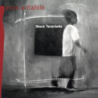 Компакт-диск Enzo Avitabile / Black Tarantella (CD)
