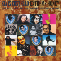 Виниловая пластинка ELVIS COSTELLO / EXTREME HONEY: VERY BEST OF WARNER YEARS (2LP, LIM.ED.,GOLD)