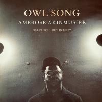 Виниловая пластинка Ambrose Akinmusire / Owl Song (1LP)