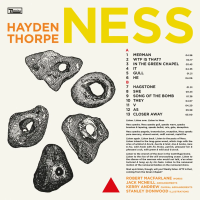 Виниловая пластинка Hayden Thorpe / Ness (1LP)