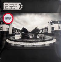 Виниловая пластинка NOEL GALLAGHER'S HIGH FLYING BIRDS / COUNCIL SKIES (LP+7", Gatefold) (2LP)
