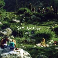 Компакт-диск Sam Amidon / Lily-O (CD)