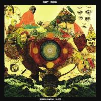 Виниловая пластинка Fleet Foxes / Helplessness Blues (2LP)