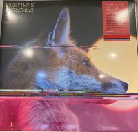 Виниловая пластинка Everything Everything / Man Alive (Deluxe Edition) (2LP)