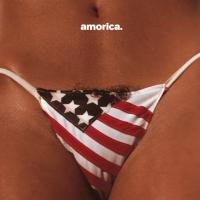 Виниловая пластинка The Black Crowes / Amorica. (2LP)