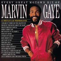 Виниловая пластинка Marvin Gaye / Every Great Motown Hit Of Marvin Gaye - 15 Spectacular Performances (LP)