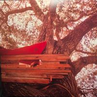 Виниловая пластинка Backseat Lovers / Waiting To Spill (Black) (1LP)