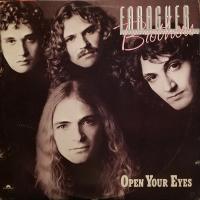 Виниловая пластинка BROS FARAGHER / OPEN YOUR EYES (1LP)