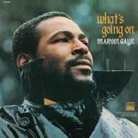 Виниловая пластинка Marvin Gaye / What’s Going On (coloured) (1LP)