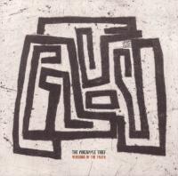 Виниловая пластинка The Pineapple Thief / Versions Of The Truth (Black) (1LP)