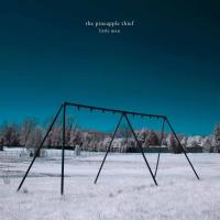 Виниловая пластинка The Pineapple Thief / Little Man (Black) (2LP)