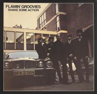 Виниловая пластинка Flamin' Groovies / Shake Some Action (50th Anniversary Edition) (Spirit Of '76) (2LP)