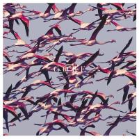 Компакт-диск Deftones / Gore (CD)