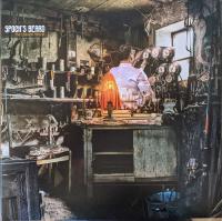 Виниловая пластинка Spock's Beard / The Oblivion Particle (Transparent Green / Solid White / Black Vinyl. Gatefold) (2LP)