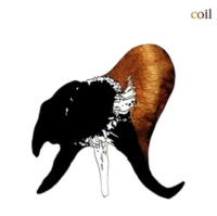 Виниловая пластинка Coil / Black Antlers (Clear) (2LP)