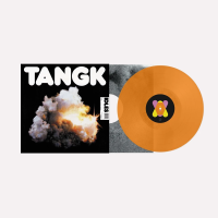 Виниловая пластинка IDLES / Tangk (Orange) (1LP)