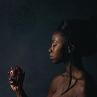 Компакт-диск Oceans Of Slumber / The Banished Heart (CD)