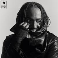 Виниловая пластинка Thundercat / Distracted (Red) (1LP)