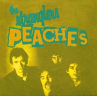 Виниловая пластинка The Stranglers / Peaches / Go Buddy Go (7 INCH)