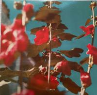 Виниловая пластинка Chad Lawson / Breathe (1LP)