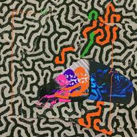 Виниловая пластинка Animal Collective / Tangerine Reef (2LP)