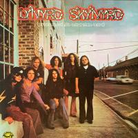 Виниловая пластинка Lynyrd Skynyrd / (Pronounced 'Leh-'Nerd 'Skin-'Nerd) (Black) (1LP)