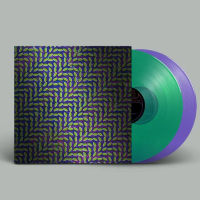Виниловая пластинка Animal Collective / Merriweather Post Pavilion (15th Anniversary) (2LP) Виниловая пластинка Animal Collective / Merriweather Post Pavilion (15th Anniversary) (2LP)