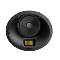 Встраиваемая акустика Martin Logan XTC8-HT