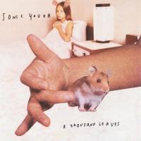 Виниловая пластинка Sonic Youth / A Thousand Leaves (2LP) Виниловая пластинка Sonic Youth / A Thousand Leaves (2LP)