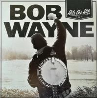 Виниловая пластинка Wayne Bob / Hits The Hits (2LP)