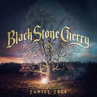 Виниловая пластинка Black Stone Cherry / Family Tree (2LP)