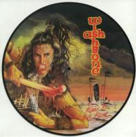 Виниловая пластинка Wishbone Ash / Raw To The Bone (Picture, Limited) (1LP)