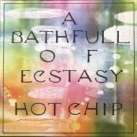 Виниловая пластинка Hot Chip / A Bath Full Of Ecstasy  (2LP)