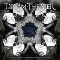 Виниловая пластинка Dream Theater / Lost Not Forgotten Archives: Train of Thought Instrumental Demos (2003) (2LP+CD)