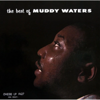 Виниловая пластинка Muddy Waters / The Best Of Muddy Waters (Chess Records 75th Anniversary) (1LP)