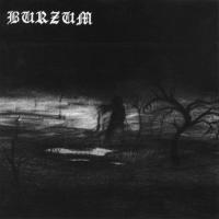 Виниловая пластинка Burzum / Burzum (picture) (1LP)