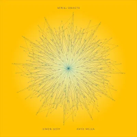 Виниловая пластинка Simon Goff & Katie Melua / Aerial Objects (1LP)