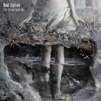 Виниловая пластинка Nad Sylvan / The Bride Said No (2LP+CD)