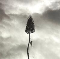 Виниловая пластинка Manchester Orchestra / A Black Mile To the Surface (Silver Vinyl) (2LP)