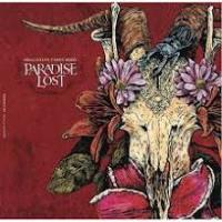 Виниловая пластинка Paradise Lost / Draconian times mmxi (2LP)