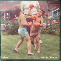 Виниловая пластинка Elbow / Flying Dream 1 (Transparent) (1LP)
